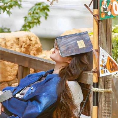 胜者为王3王者之战国语